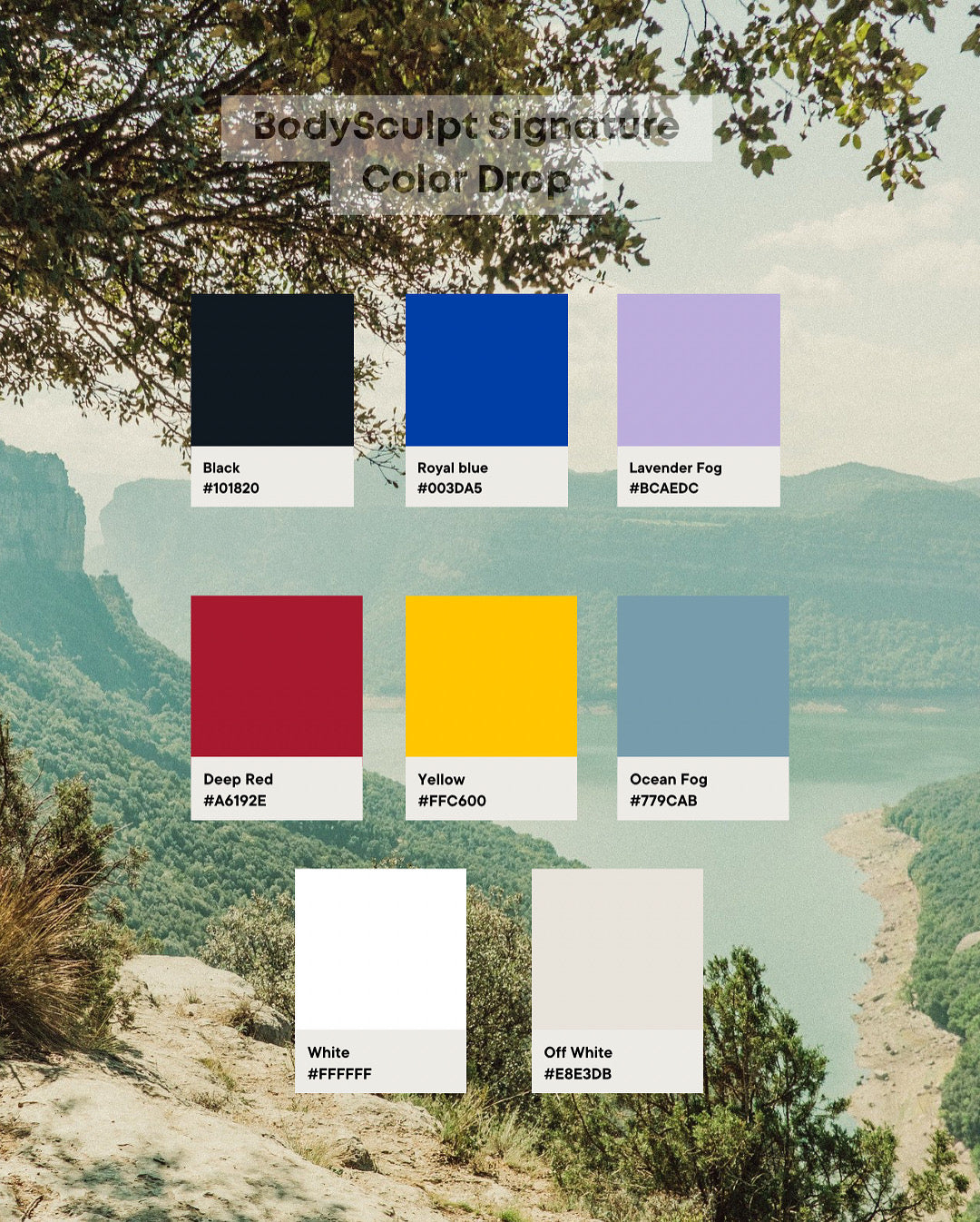 Body Sculpt Scrunch Shorts