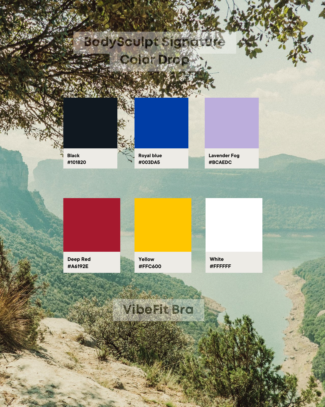 Body Sculpt VibeFit – Bra